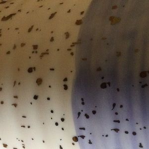 Meet your Posher, Oscar